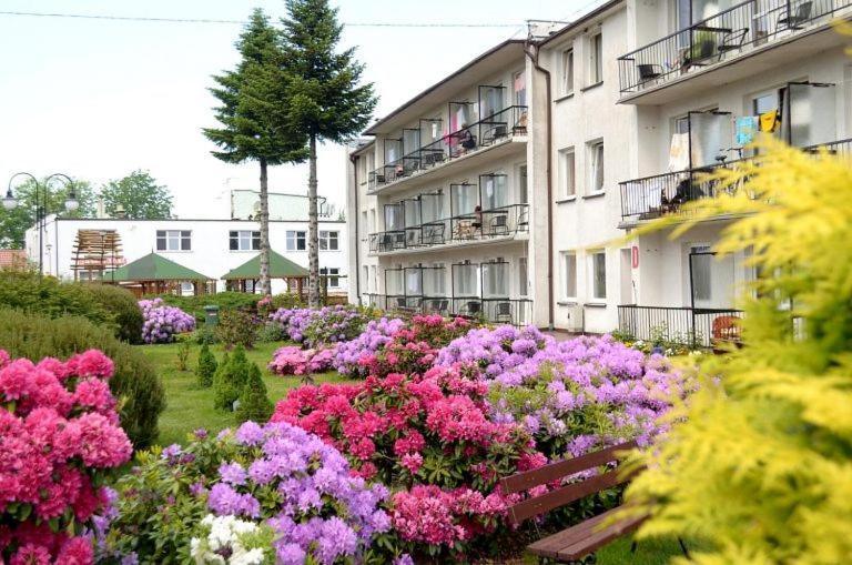 Apartment Arka